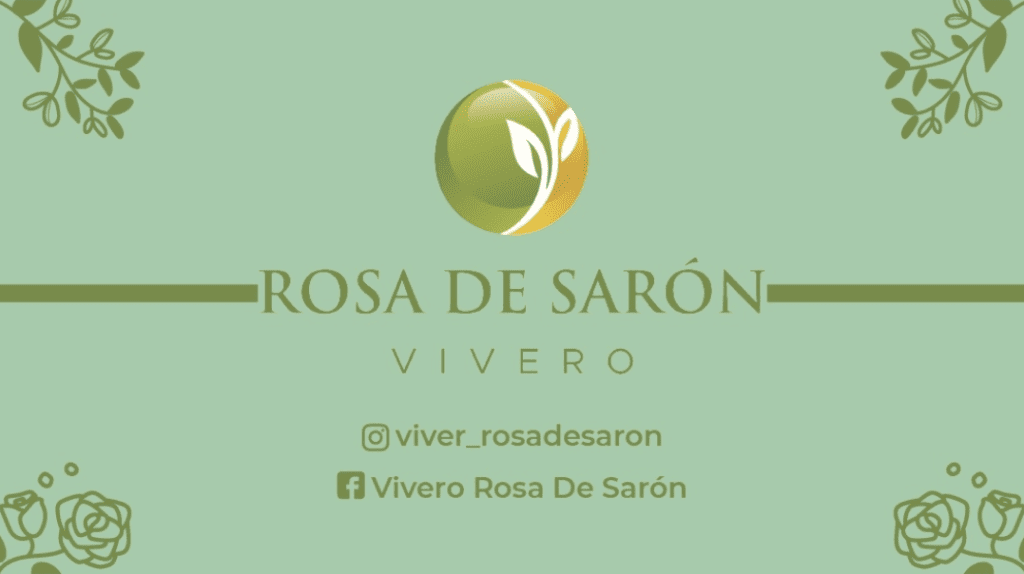 Vivero Rosa De Sarón