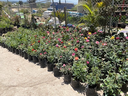 Vivero Acueducto