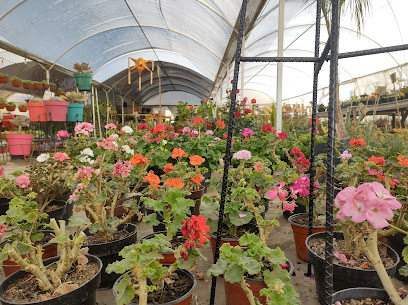 Vivero Los Laureles