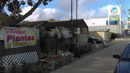 Vivero Rancho R