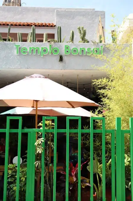 Vivero Templo Bonsai