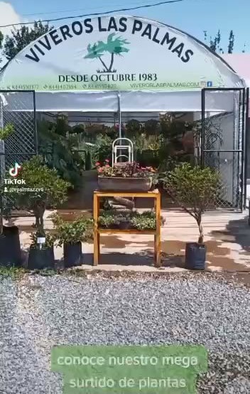Viveros Las Palmas