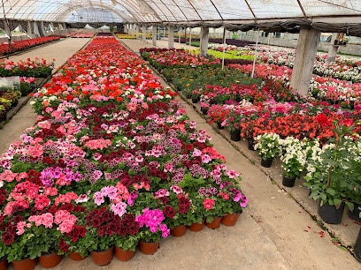Viveros Loma Linda Cárdenas