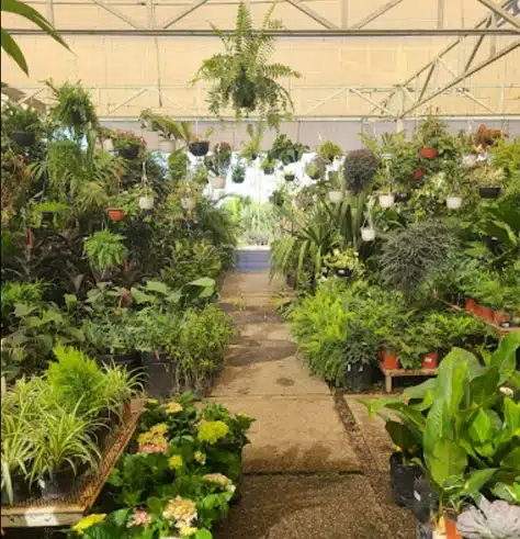 GREENMEX PAISAJISMO
