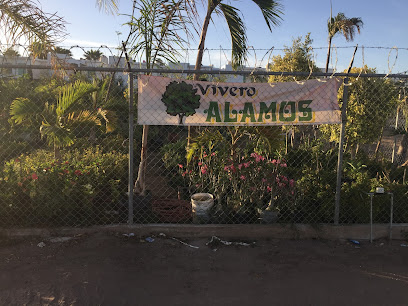 Vivero Álamos
