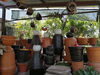 Vivero Azucena