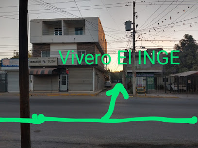 Vivero El INGE