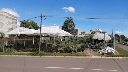 Vivero Primavera
