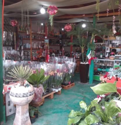 Biosistemas Orgánicos Vivero La Floresta