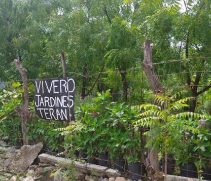 Vivero Jardines Terán