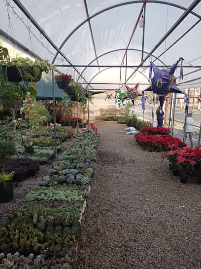 Vivero Primavera