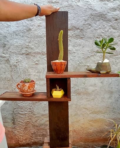 PlantitasSam en Tepatitlán