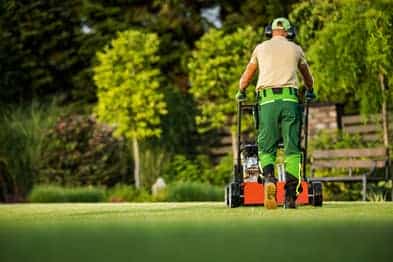 Servicios de jardinería en USA: Corte de zacate