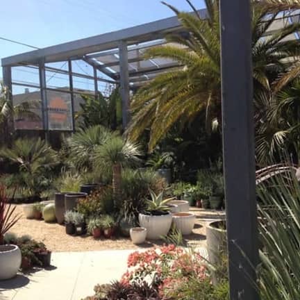 vivero Flowercraft en San Francisco