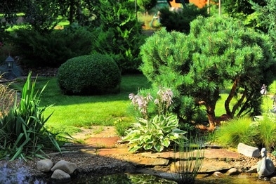 Servicios de jardinería en USA: Jardines con piedras