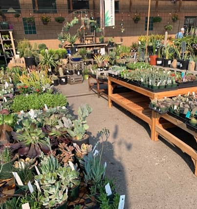 vivero Sloat Garden Center en San Francisco CA