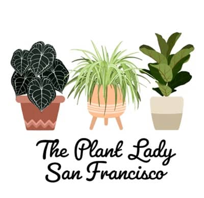 vivero The Plant Lady SF