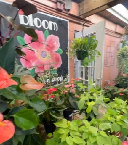 Bloom Garden shop Tampa FL