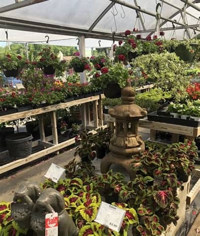 Dolins Garden Center en St. Petersburgo FL