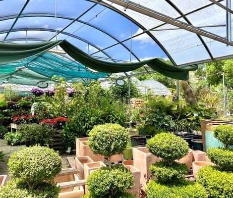 vivero Fair Oaks Boulevard Nursery en Sacramento