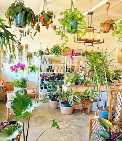 Fancy Free Nursery en Tampa FL