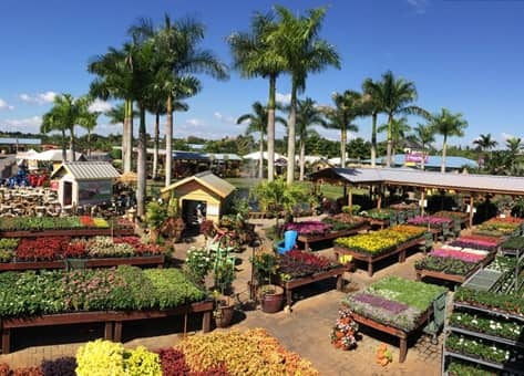 Flamingo Road Nursery en Davie (FL)