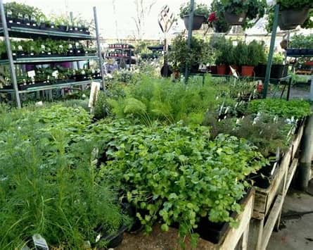 Florida Nursery Mart en Davie