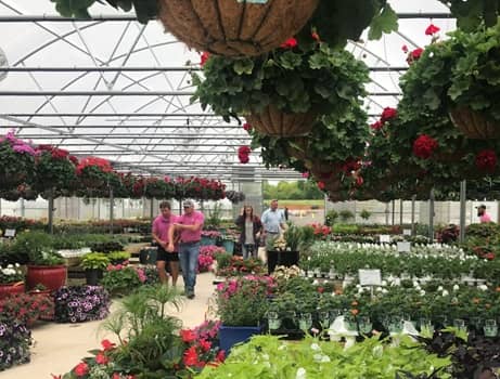 Gibbs Garden Center en Hacenville AL