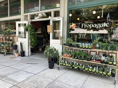 Vivero Propagate en Sacramento
