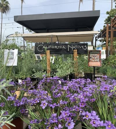 The Plant Foundry | Nursery & Store en Sacramento