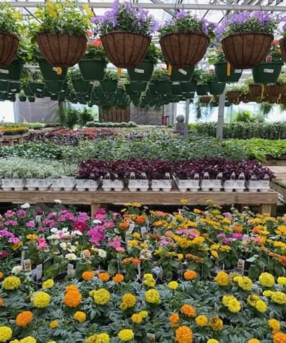 Warren Family Garden Center and Nursery en Moody, Alabama