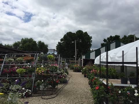 Farmer's Market Garden Center Illinois
