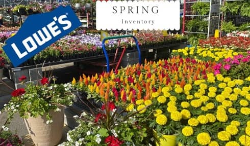Lowe's Garden Center en Springfield