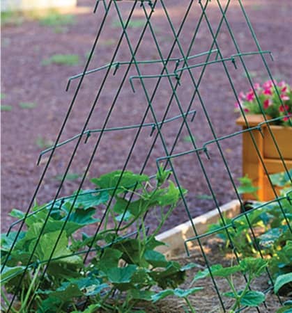 Midwest Wire Works Vivero Rockford (IL)