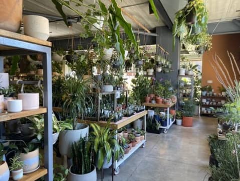 Sprout Home vivero en Chicago