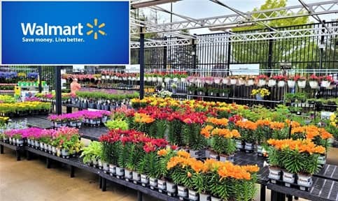 Walmart Garden Center en Rockford