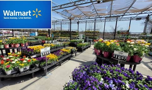 Walmart Garden Center en Springfield (IL)