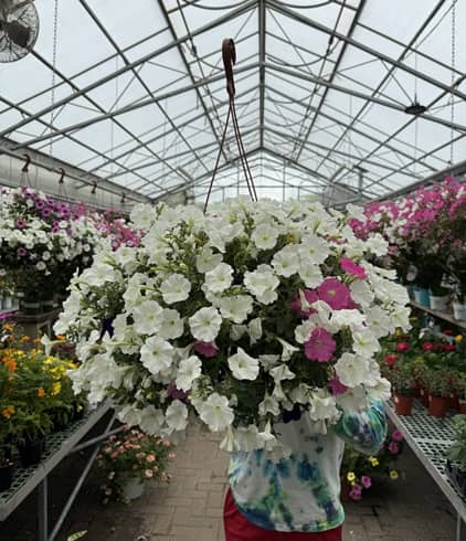 Wasco Nursery & Garden Center en Illinois