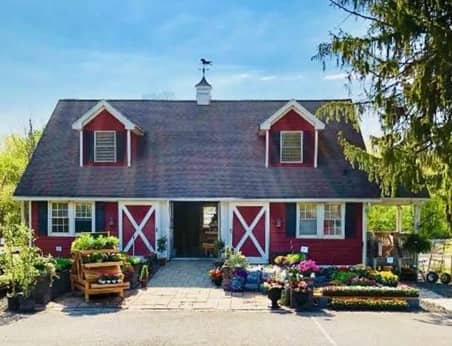 CDS Nursery en Paterson, NJ