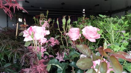 Hopewell Nursery en Bridgeton, NJ