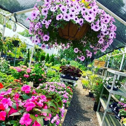 Kenilworth Garden Center en Elizabeth, NJ