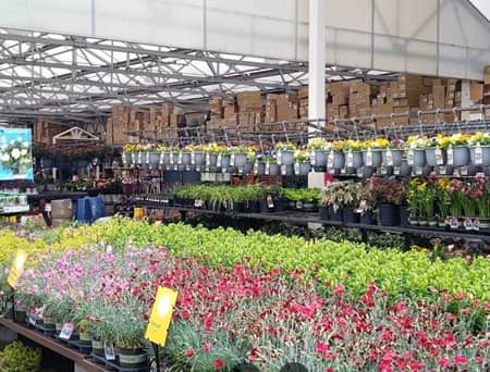 Lowe's Garden Center en Paterson, NJ