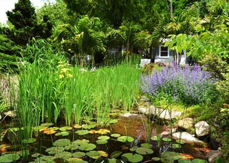 Riverside Nursery en Trenton,(NJ)