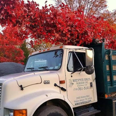 Wiesner Brothers Nursery en Elizabeth, NJ