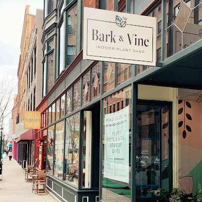 Bark & Vine en New Haven. CT