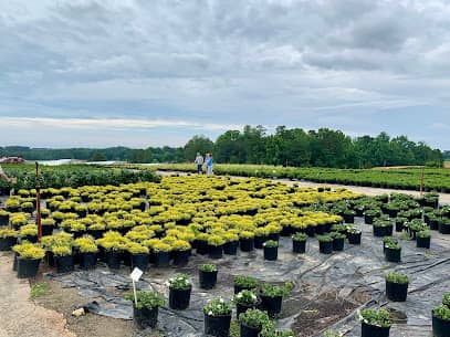 Broadwell's Nursery en North Carolina, NC