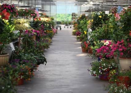 Country Flower Farms en Middlefield, CT
