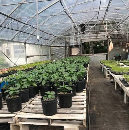 Golden Acres Farms en West Haven, CT
