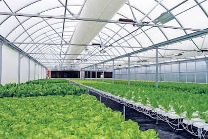 Growers Supply en South Connecticut, CT