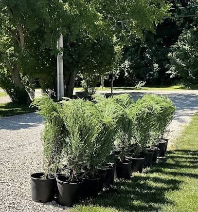 LotsofPlants en Winston-Salem, NC